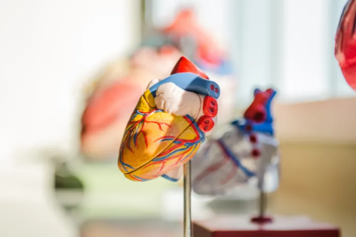 Histórico Familiar de Infarto: Como Avaliar Seu Risco?
