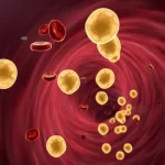 Colesterol Alto: Por Que é Importante Controlar?